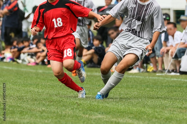 Fototapeta サッカー　フットボール