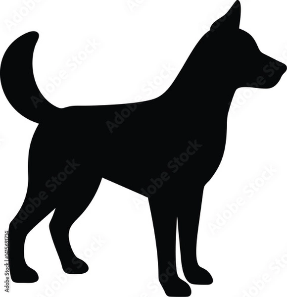 Fototapeta Standing Dog Silhouette with Upright Tail