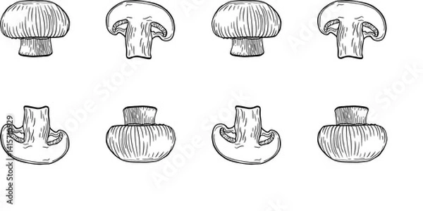 Obraz Hand-drawn black and white pattern of whole and sliced mushrooms. Detailed sketch style. Perfect for culinary designs, packaging, or nature illustrations.