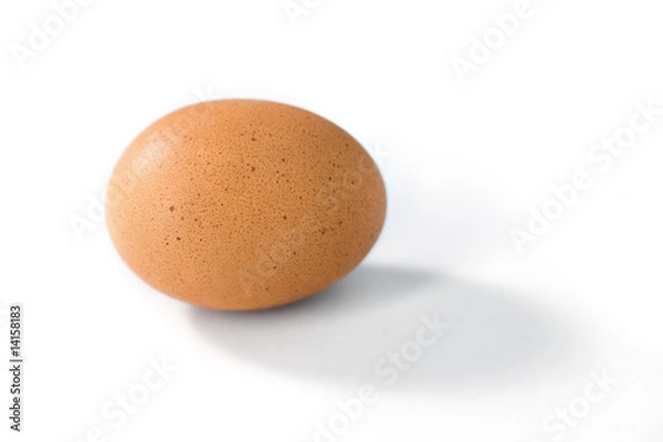 Obraz Pojedyncze brązowe jajko na białym tle z cieniem