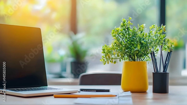 Fototapeta Modern Office Workspace With Laptop And Plant