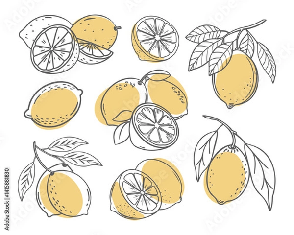 Fototapeta Lemon fruit outline set. Collection of lemon sketches with yellow spots. Hand drawn doodle style illustration