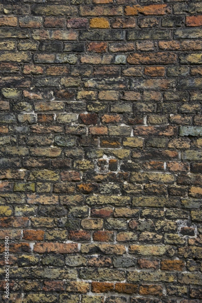Obraz Brick wall texture
