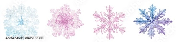 Fototapeta Winter Snowflake Variations