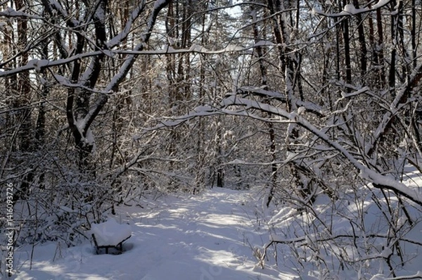 Fototapeta A narrow path through a snow-covered park at sunset on a winter evening, with the sunlight casting shadows of the trees on the white snow