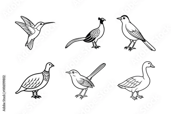 Fototapeta Set of bird vector art illustration