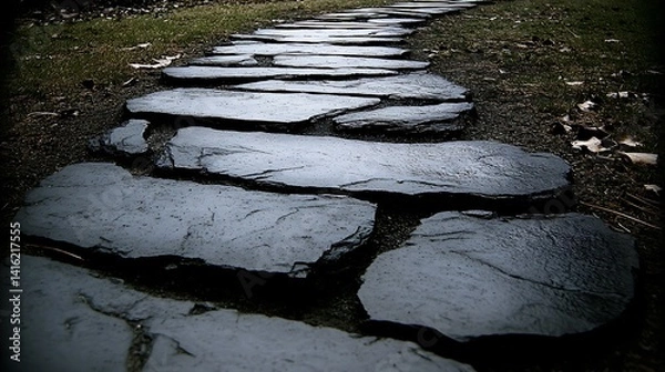 Fototapeta Dark, wet stone path winding through grass