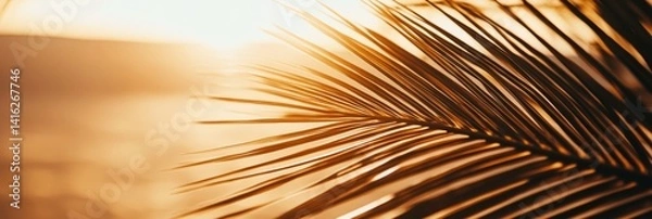 Fototapeta Golden sunlight illuminates a palm leaf in a minimalist composition highlighting the details of nature during the golden hour with blurred background