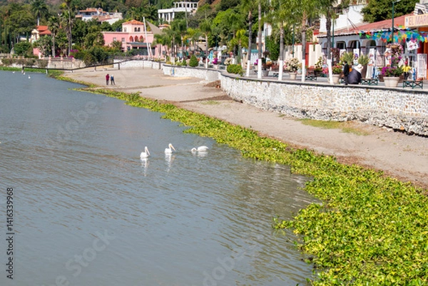Fototapeta Tranquil view of Lake Chapala with three white birds near a vibrant and lively Mexican waterfront