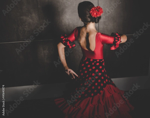 Fototapeta young hispanic flamenco dancer  while dancing