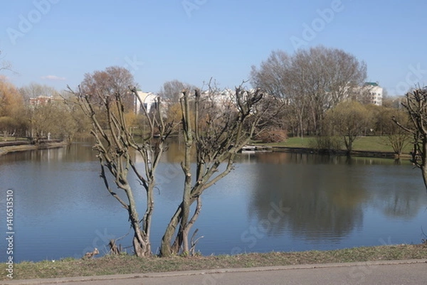Obraz view of spring landscape park, South Butovo, Moscow, April 2025, 2