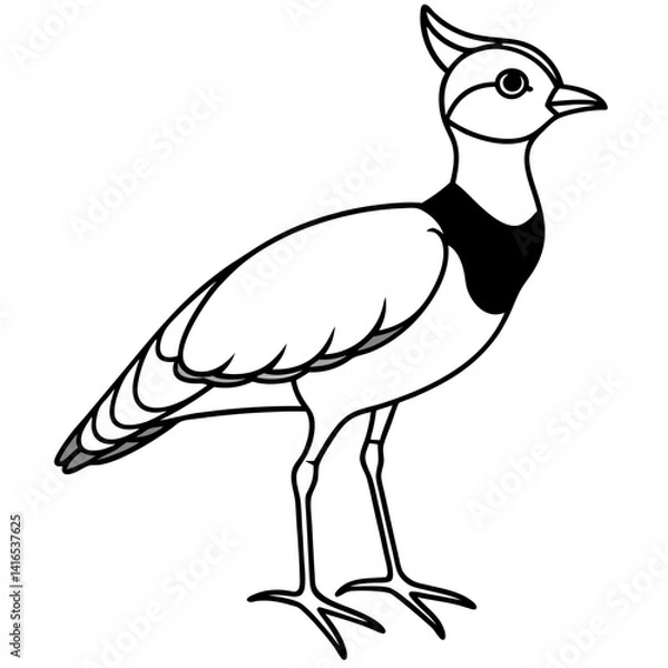 Fototapeta vector illustration of a bird