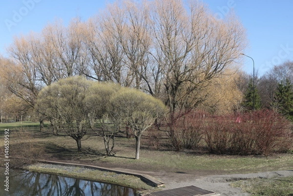 Obraz view of spring landscape park, South Butovo, Moscow, April 2025, 2