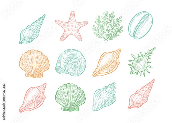 Obraz Colorful vector set of hand drawn seashells, starfish, coral and marine elements. Nautical collection in pastel colors for summer design, beach decor, and sea-themed illustrations. 