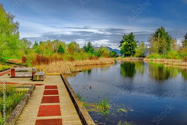 Fototapeta Spring landscape in Terra Nova Park, forest lake with wooden bridge over stream, green trees and bushes around lake, yellow grass, wooden walkway and bench on shore