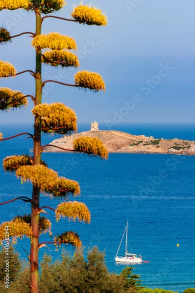 Fototapeta Omigna Genoese tower, in the Corsican maquis, Cargèse, Corsica island, France. Typical tower in tourist trail on the Mediterranean Corsican coast.