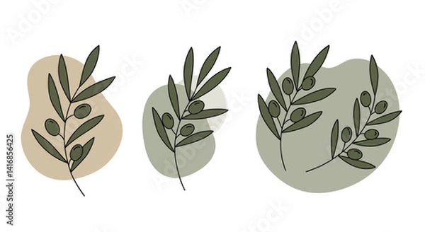 Obraz Three olive branches with green and brown leaves and olives in minimal flat design style vector illustration