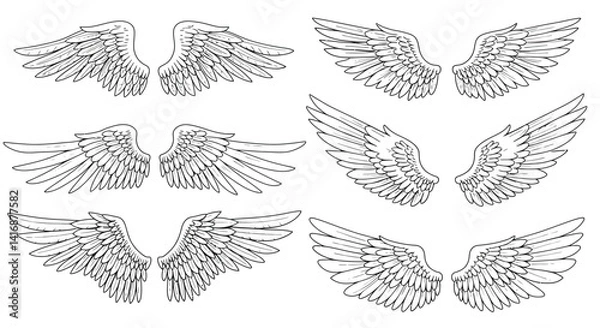 Obraz Detailed hand-drawn feathered wings in various angles and styles black and white sketch vector illustration