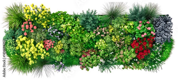 Fototapeta Green Flower Bed Template. Top Masterplan View and  A row of flowers with pink and white blooms of Colorful Row of Assorted Flowers and Greenery Lush Tropical Plant Wall  on islated transfarent PNG
