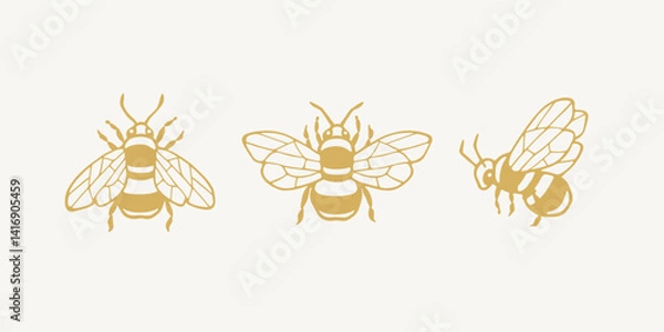 Fototapeta Collection of honey bee illustrations in simple line art style