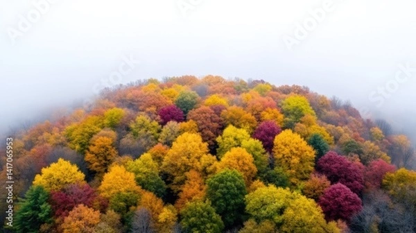 Fototapeta Autumnal forest canopy, vibrant colors, mist-shrouded hills.  A breathtaking aerial view of a forest in autumn, showcasing a vibrant display of fall foliage. 