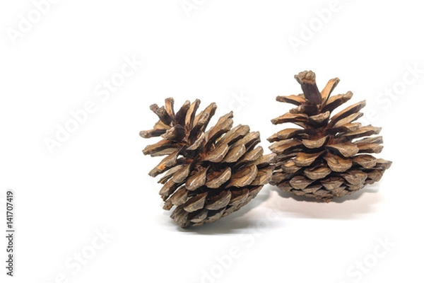 Fototapeta pine cones isolated on white background