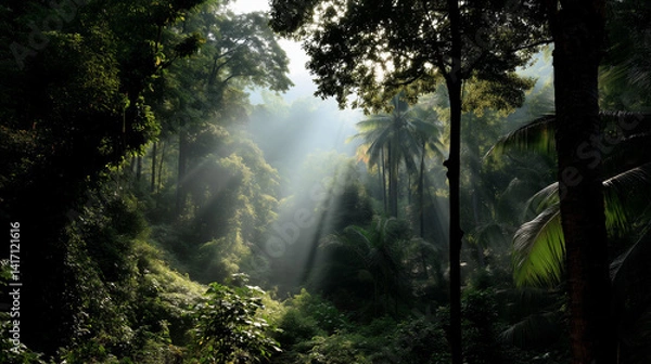 Fototapeta A mysterious and wild rainforest setting, perfect for nature lovers and eco-themes.

