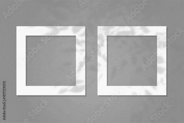 Fototapeta Natural light casts shadows from the wildflowers on 2 square frames of white textured paper lying on a gray facture background. Mock up with an overlay of plant shadows
