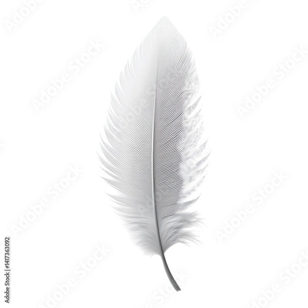 Fototapeta Delicate feather resting on a soft surface, capturing the beauty of nature's artistry under soft ambient light on transparent background