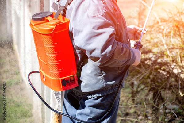 Fototapeta A male gardener with a red electric sprayer sprays bushes from pests in the spring, background