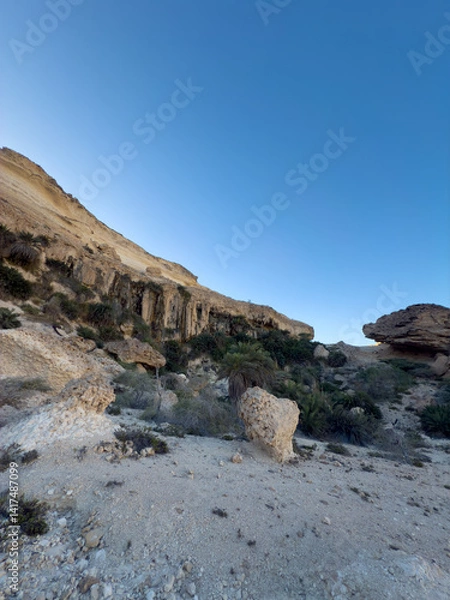 Fototapeta Canyon of Wadi Ash Shuwaymiyyah with unique stalactites in Oman