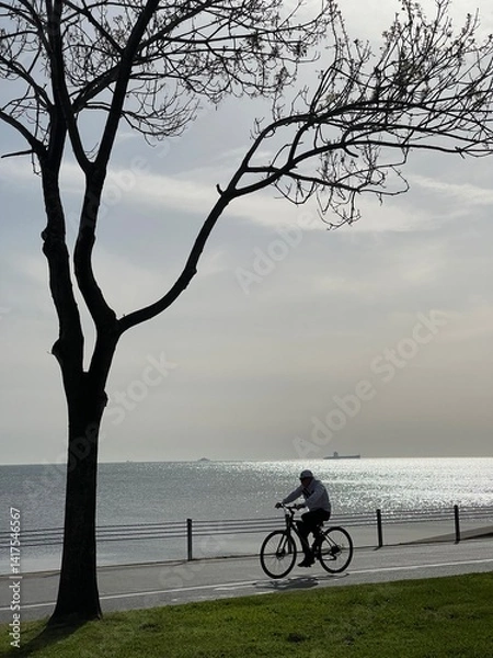Fototapeta Man riding bicycle on paved path next to shimmering water, silhouette against bright sky during day for athletic exercise and lifestyle concept