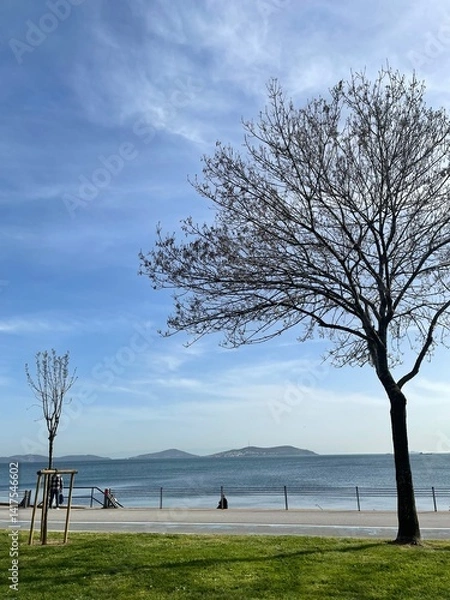 Fototapeta Man riding bicycle on paved path next to shimmering water, silhouette against bright sky during day for athletic exercise and lifestyle concept