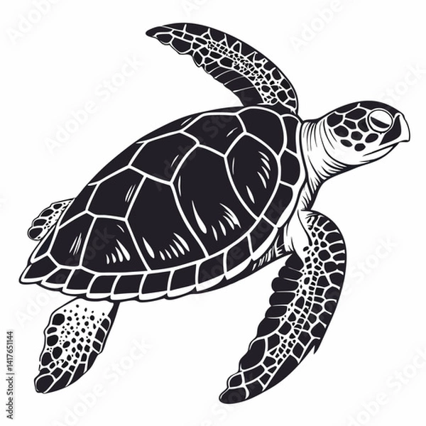 Obraz Sea Turtle vector silhouette black design white background