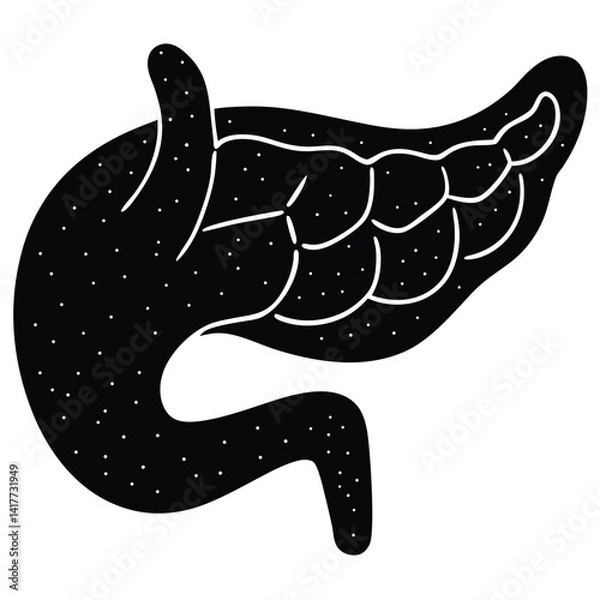 Obraz inner part of human body silhouette design on white background 