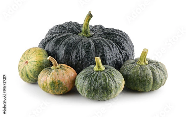 Fototapeta Fresh green thai pumpkin isolated on white background with clipping path.