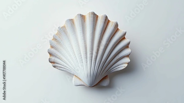 Obraz Ornate scallop shell, delicately detailed and presented.