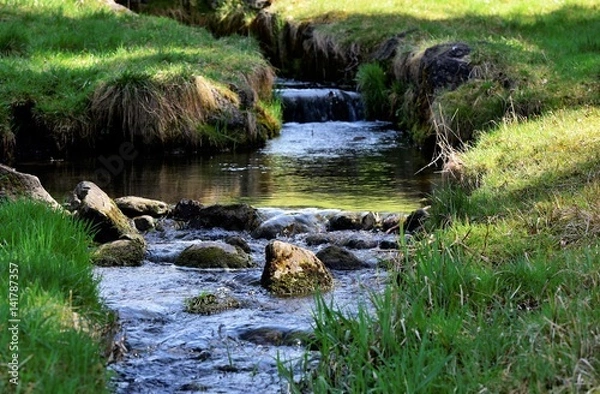 Obraz ruisseau