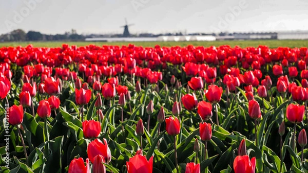 Obraz OLYMPUS DIGITAL CAMERA