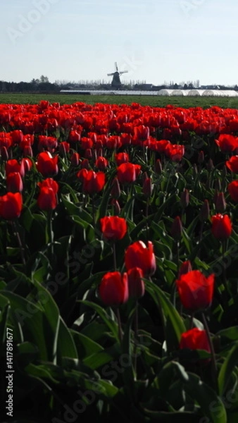 Obraz OLYMPUS DIGITAL CAMERA