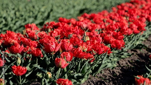 Obraz OLYMPUS DIGITAL CAMERA