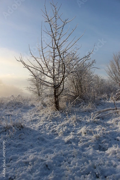 Obraz Dutch winter landscape