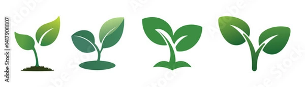 Fototapeta Sprout Illustrations for Growth, Nature, or Sustainability Design Projects