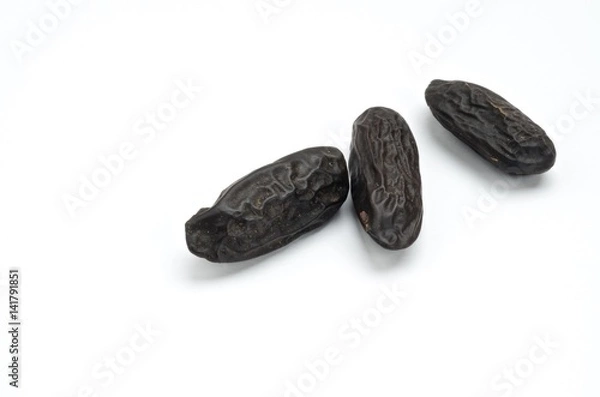 Obraz Dipteryx odorata