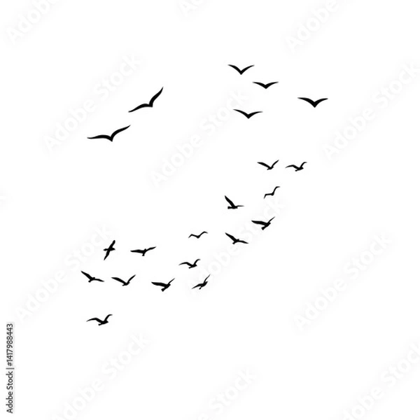 Fototapeta flock of birds flying