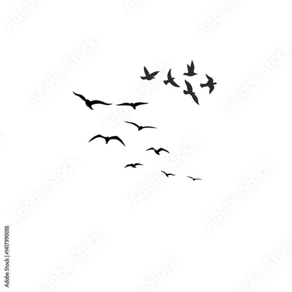 Fototapeta A flock of birds flying gracefully across the sky, symbolizing freedom, nature, unity, and peaceful movement.