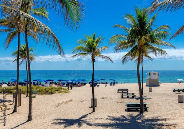 Fototapeta Beautiful tropical sunny beach with palm trees and beach umbrellas in Fort Lauderdale Beach Park, Florida