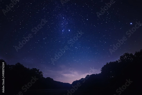 Fototapeta Night sky filled with twinkling stars, silhouettes of tall trees contrasting the dark backdrop, creating a serene and enchanting evening scene.