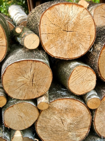 Obraz Holzstapel mit gesägtem Rundholz