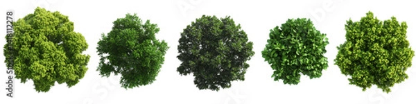 Fototapeta Five Green Trees Top View, Isolated on Transparent Background, 3D Render, Nature, Foliage, Trees, 3D rendering, nature
